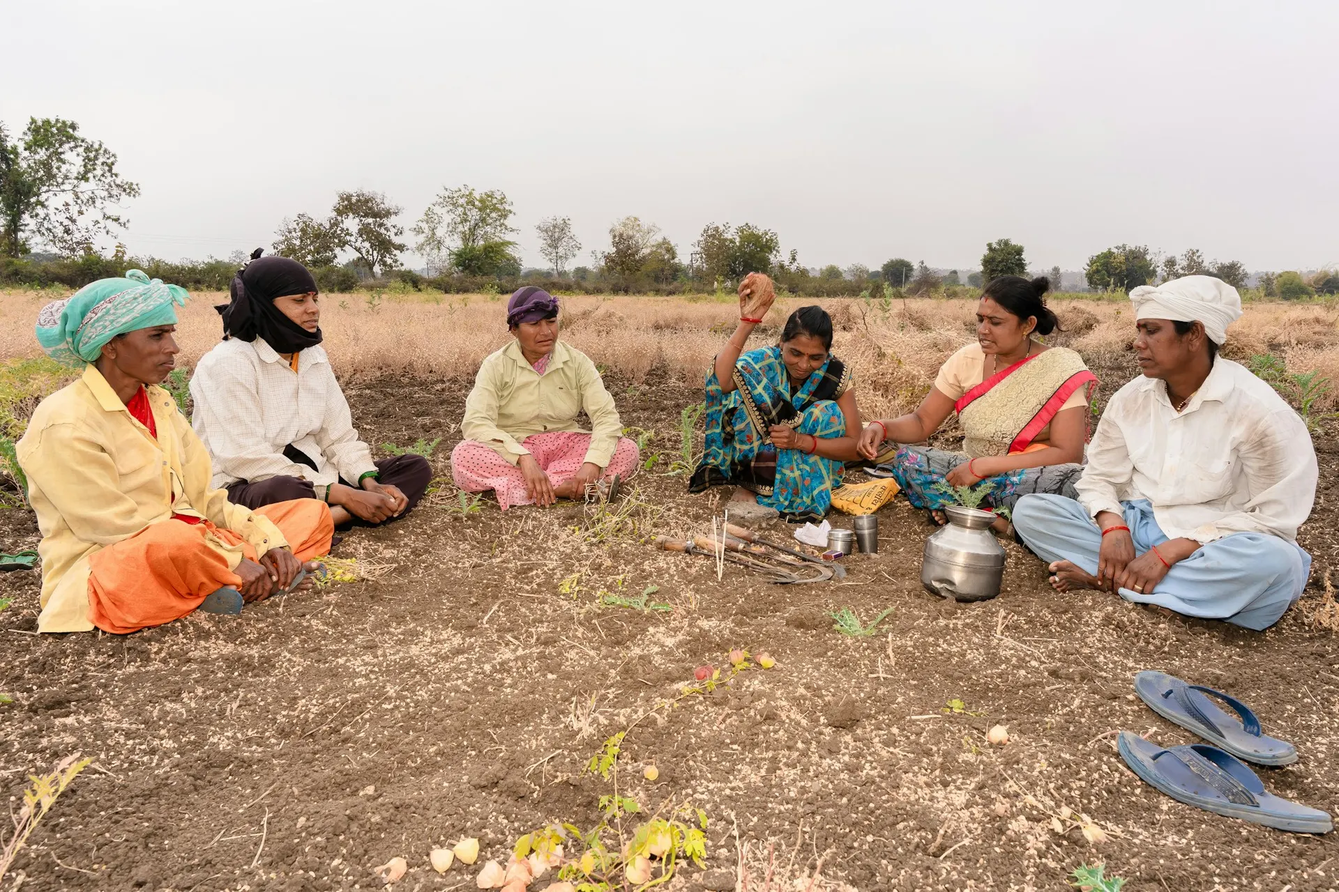 A farmer collective meeting in a field, examining tools and seeds together