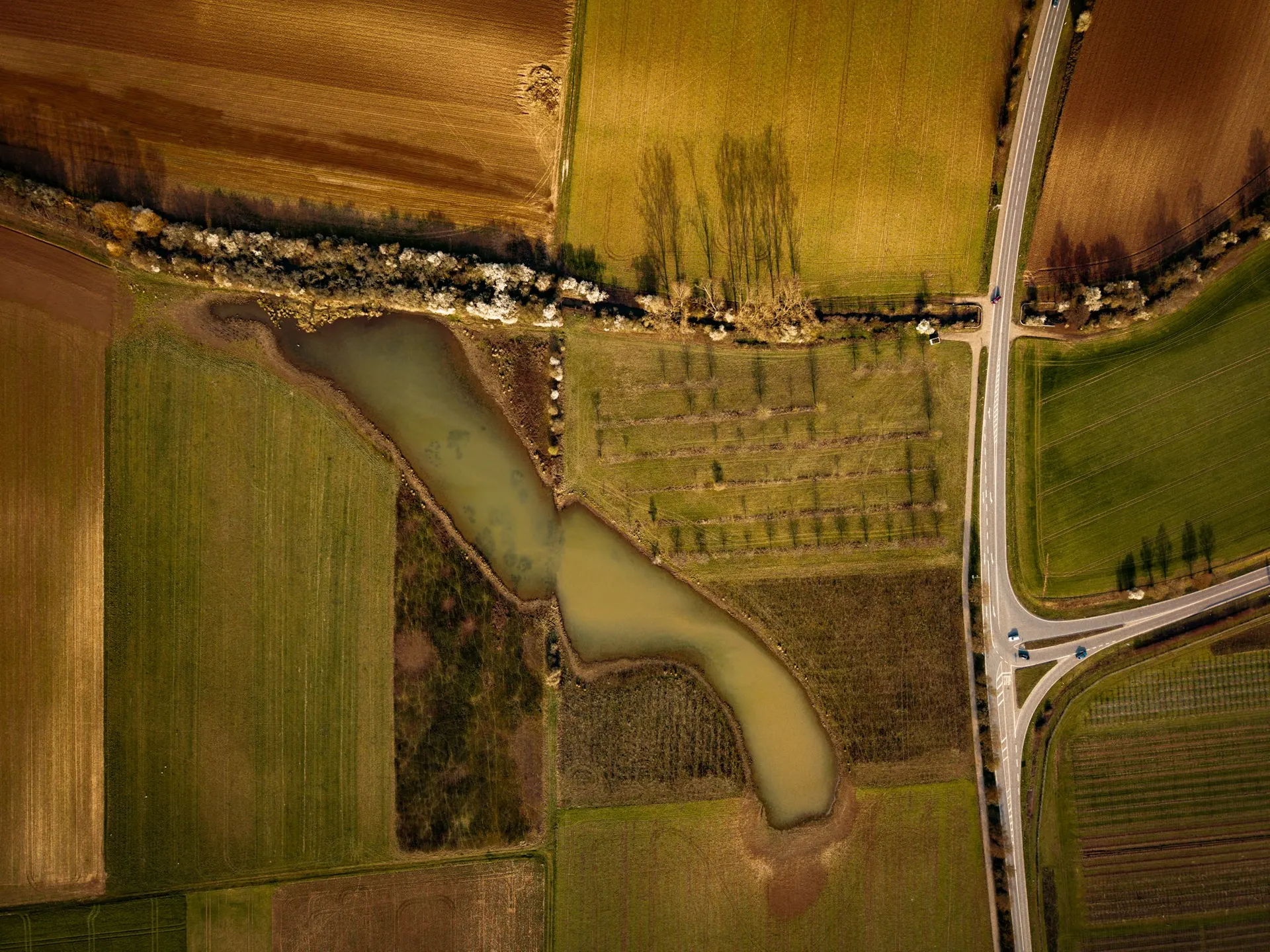 Aerial view of a farm pond bordered by fields